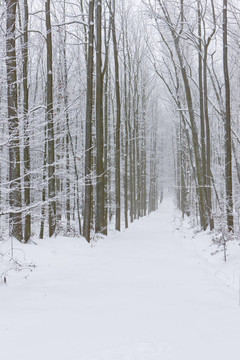雪道；捷克共和國(guó)