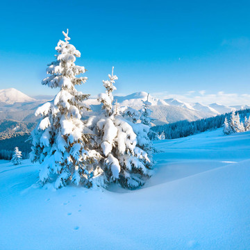 雪景