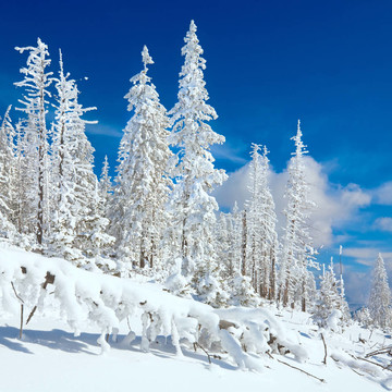 雪景