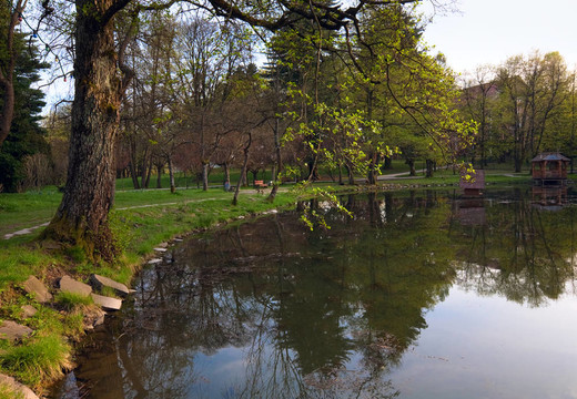 公園的春天湖