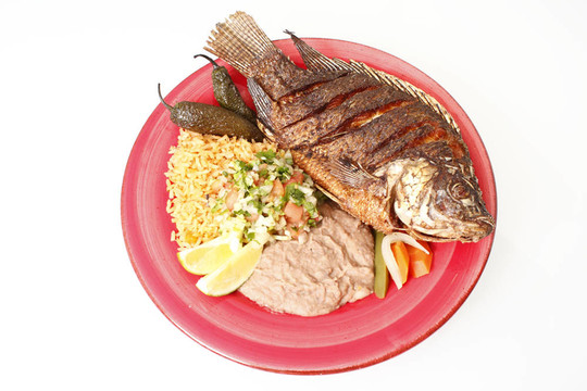 銀鱸Frita