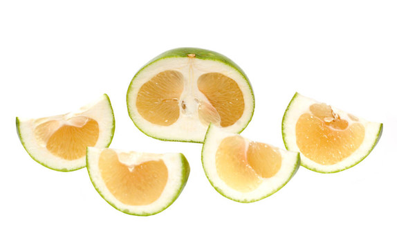 奧洛勃朗柯柚（Citrus親愛的）