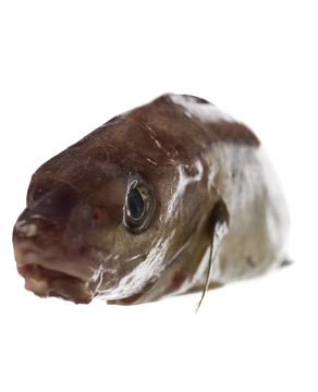 鱈魚
