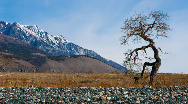 Baikal；開挖