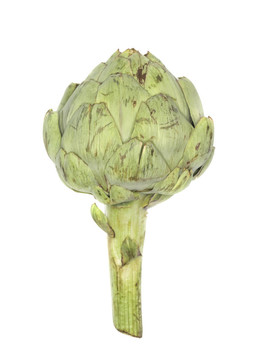 新鮮的朝鮮薊