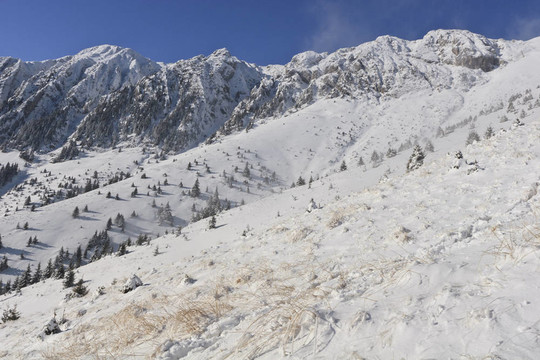 冬天，山上的風景