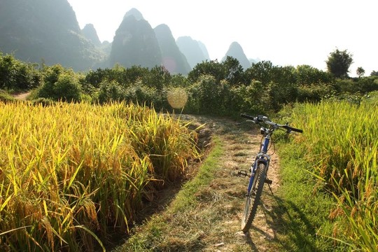 中國鄉(xiāng)村景觀與自行車