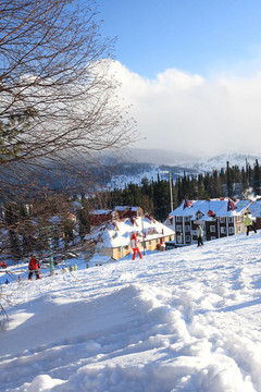 山滑雪勝地。