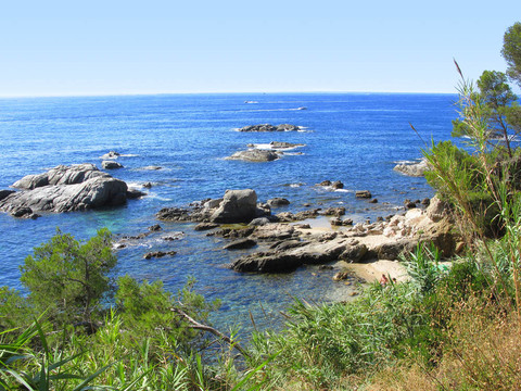 在布拉瓦海岸海灘（西班牙）