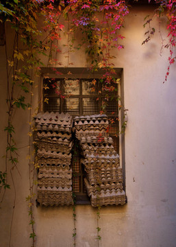 收集空雞蛋箱。