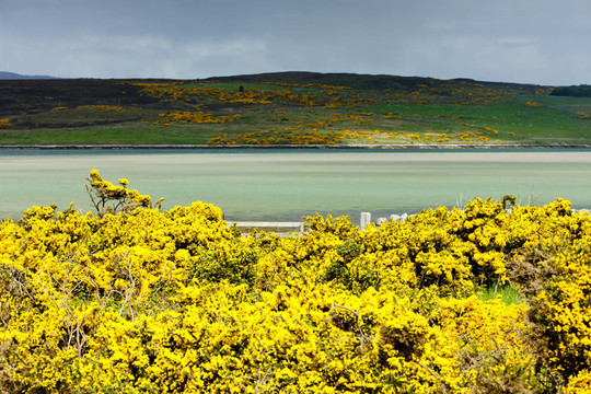 Loch Eriboll；Highlands；蘇格蘭