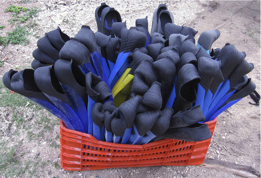 鰭等待著他們的潛水員