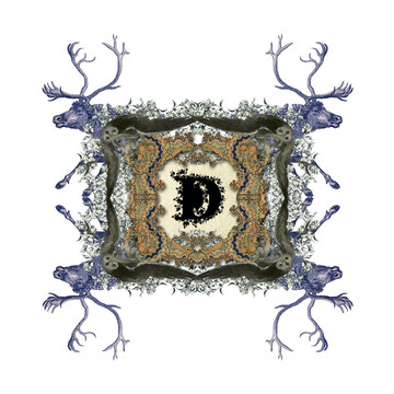 字母D