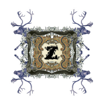 字母Z。