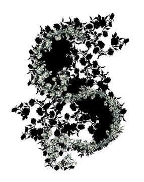字母S.