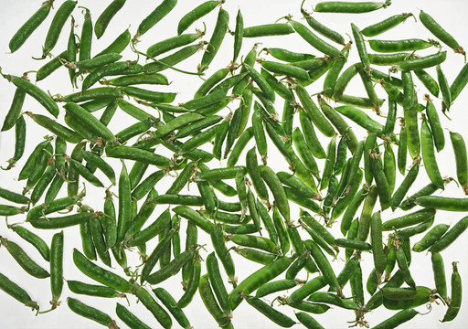 白豌豆上分離的綠豌豆