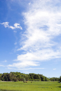 藍(lán)色的天空