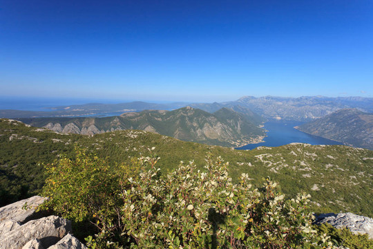 科托爾灣黑山