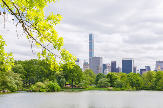 美國紐約中央公園