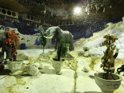 飄雪溫泉