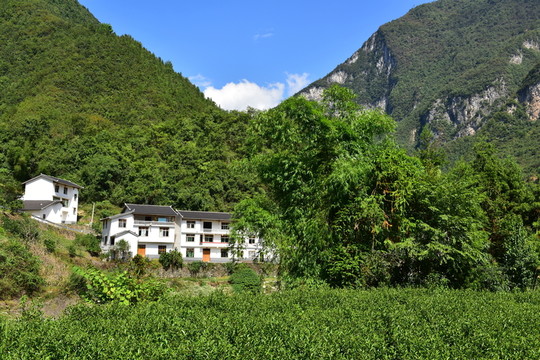特色民居鄉(xiāng)村風(fēng)景