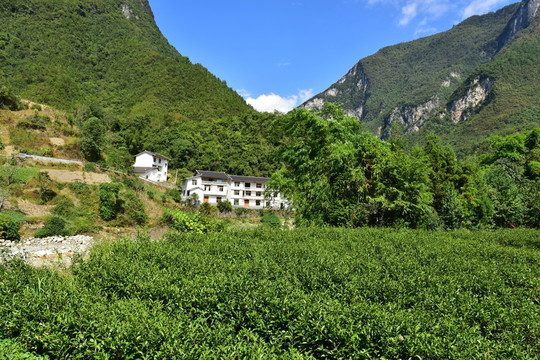 特色民居鄉(xiāng)村風景