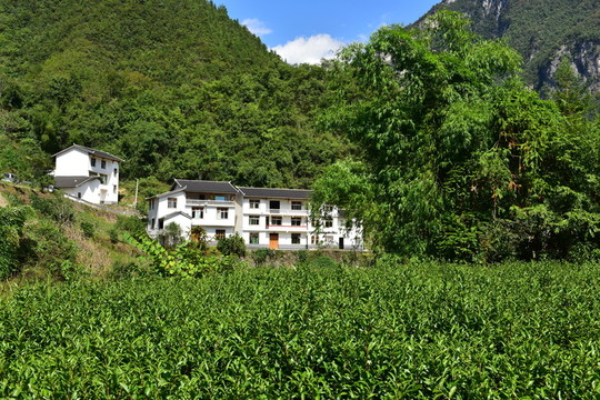 農(nóng)村田園農(nóng)家風(fēng)景