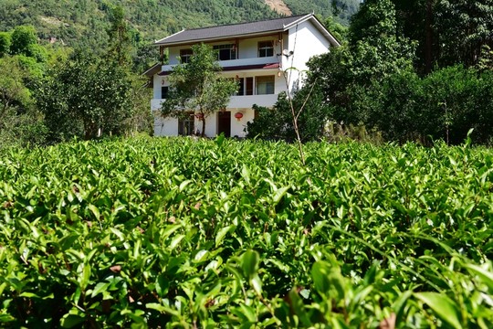 農(nóng)村田園農(nóng)家風(fēng)景