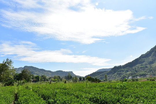 農(nóng)村田園農(nóng)家風(fēng)景