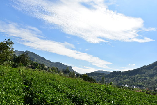農(nóng)村田園農(nóng)家風(fēng)景