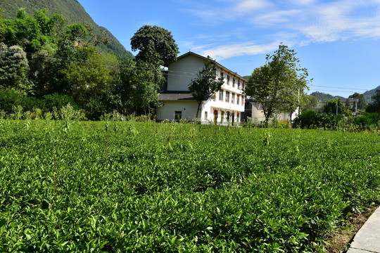 農(nóng)村田園農(nóng)家風(fēng)景