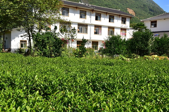 農(nóng)村田園農(nóng)家風(fēng)景