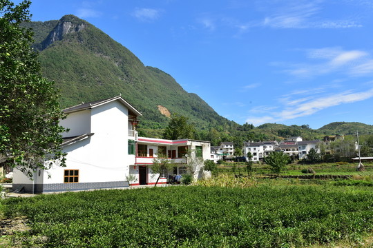 農(nóng)村田園農(nóng)家風(fēng)景
