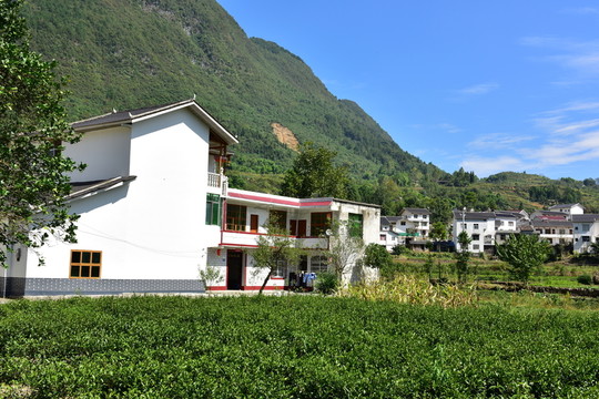 農(nóng)村田園農(nóng)家風(fēng)景