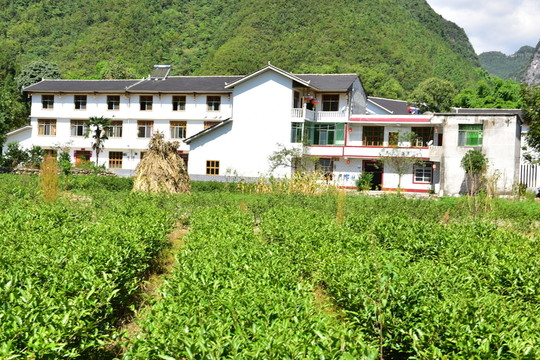 特色民居鄉(xiāng)村風(fēng)景