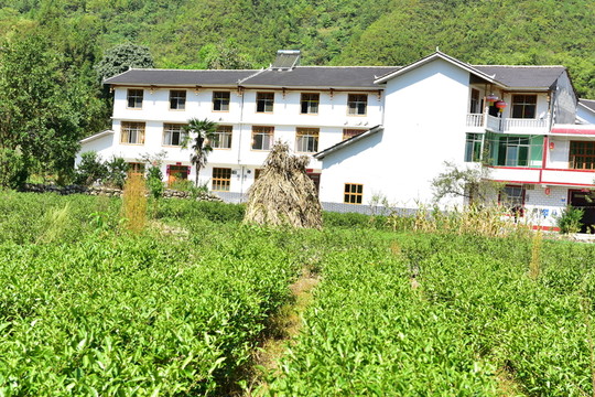 特色民居鄉(xiāng)村風(fēng)景