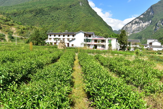 特色民居鄉(xiāng)村風景