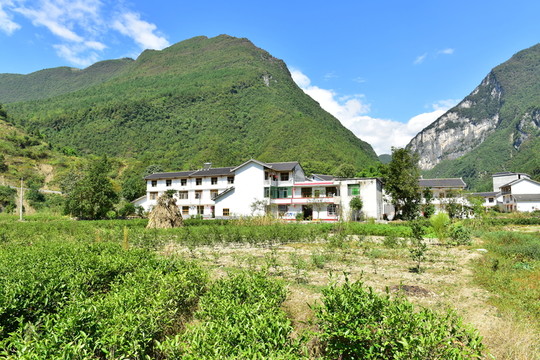 農(nóng)村田園風(fēng)景風(fēng)光