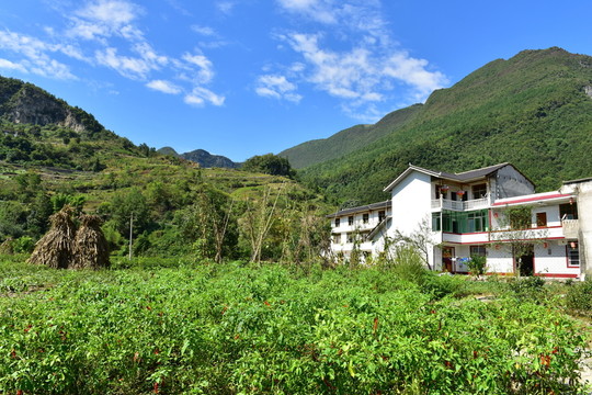 農(nóng)村田園風(fēng)景風(fēng)光