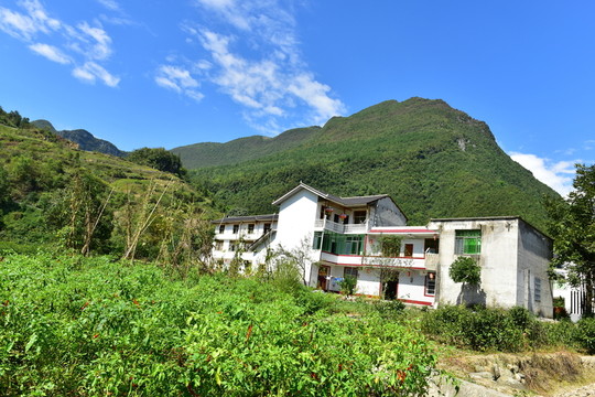 田園風(fēng)光
