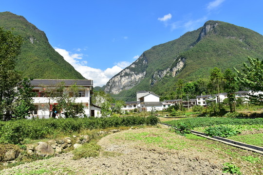 田園風(fēng)光