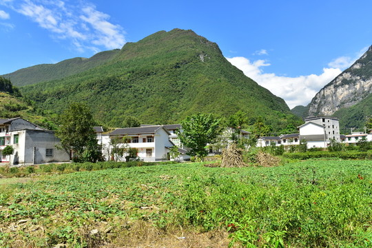 田園風(fēng)光