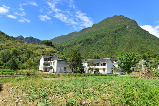 田園風(fēng)光