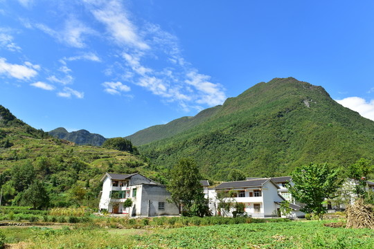 田園風(fēng)光
