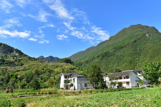田園風(fēng)光