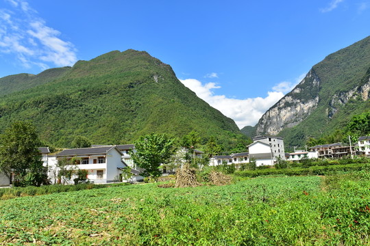 田園風(fēng)光