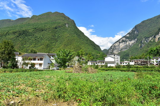 田園風(fēng)光