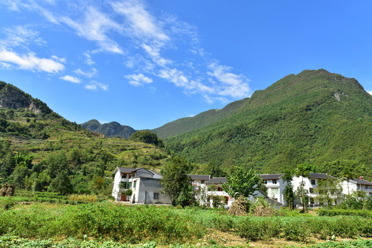 景區(qū)田園風(fēng)光