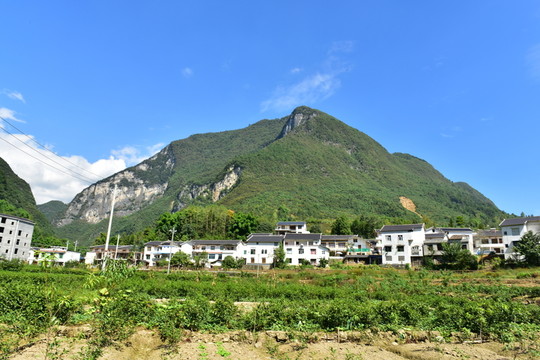 湖北恩施市麂子渡景區(qū)田園風(fēng)光