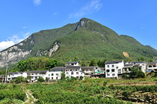 湖北恩施市麂子渡景區(qū)田園風(fēng)光